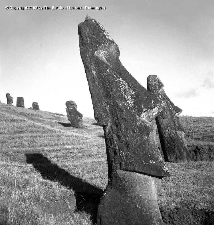 RRE_Angel_07.jpg - Easter Island. 1960. Six moai on the exterior slope of Rano Raraku. On the foreground, the moai identified by Lorenzo Dominguez as "The Angel."